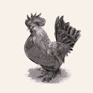 Original Painting Rooster Instant Download for Wall Decor or Gift Ideas Birds in the wild artwork Art Birds Digital Print Wild Birds Drawing