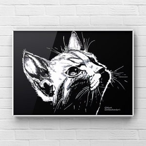 Descargar Gato de dibujo en blanco y negro para decorar paredes o ideas para regalar archivo de pintura de gato