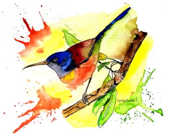 Original Watercolor Bird Painting: Colorful Bird on Branch, 7x9.4"