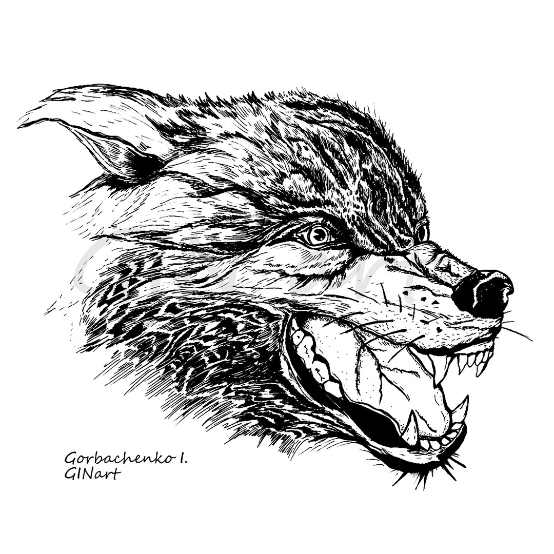 Wolf White and Black Digital Picture for Print Wolf Wall Art Modern