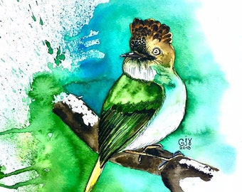 Tropical Bird Watercolor Painting: Original Green Art by Ira (9.3x9.3 in)