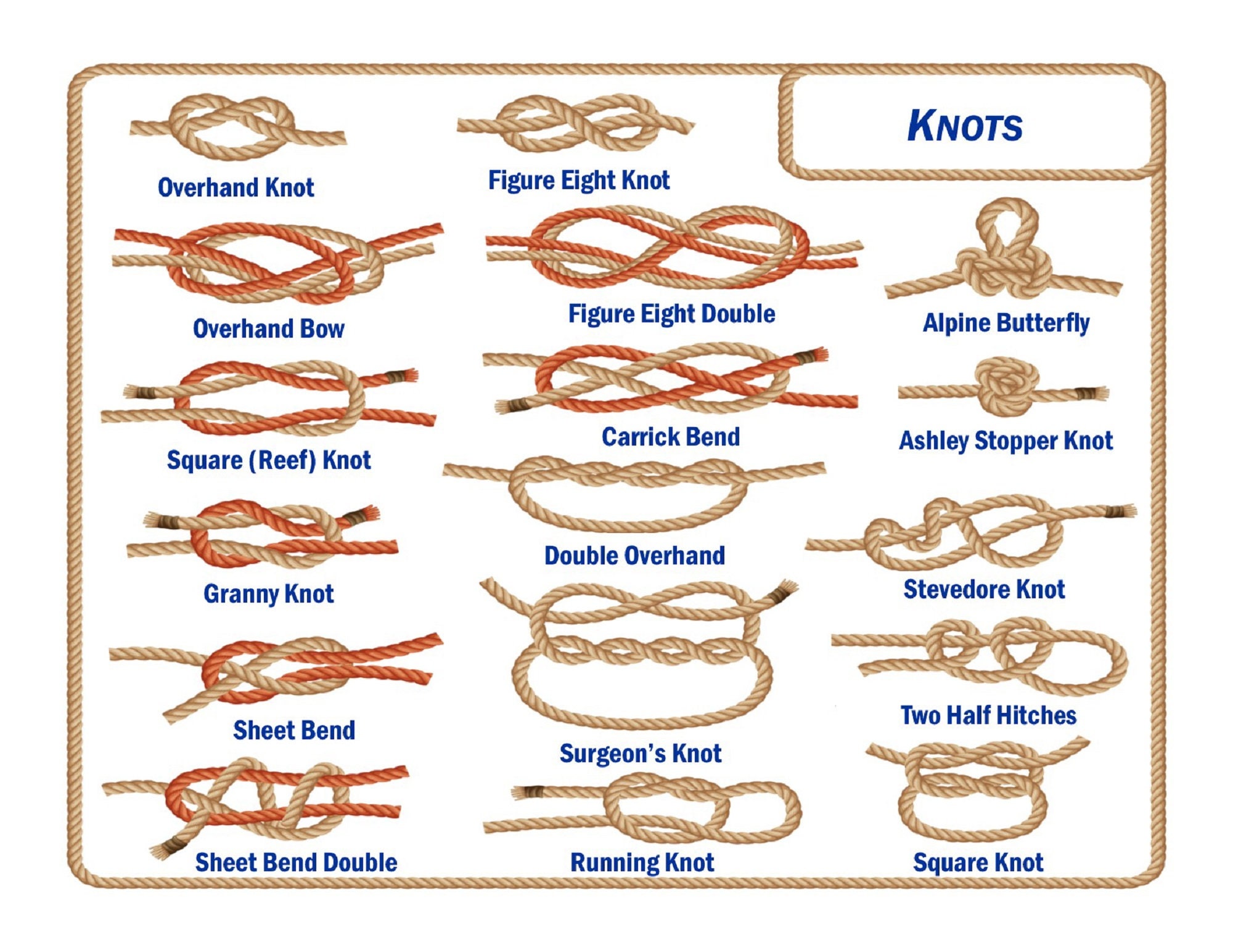 How to Tie Knot Picture Laminated Guide Knots for Boating Camping and More  Perfect Scout Accessory Slip Knots Bow Knots and More 