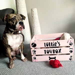Puede incluir: Una caja de juguetes de madera rosa con el texto "Lottie's TOY BOX" en negro. La caja est&aacute; decorada con huellas de patas, una pelota de tenis y un hueso. Un perro atigrado y blanco est&aacute; sentado al lado de la caja.