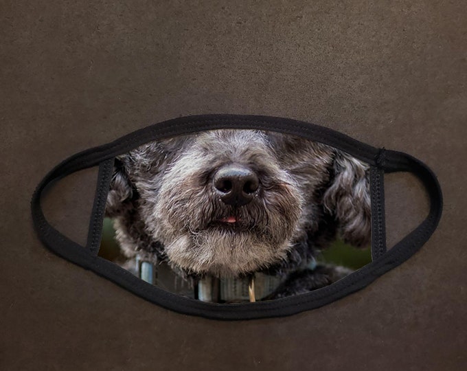 Dog Face Schnoodle Real Face Mask