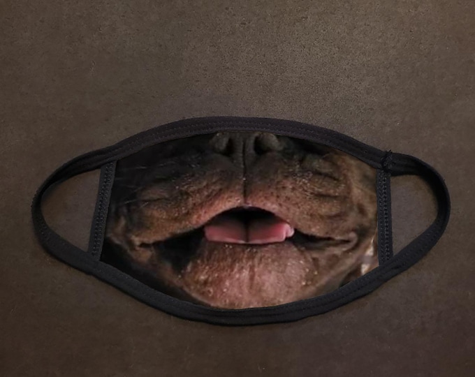 Dog Face French Bulldog Real Face Mask