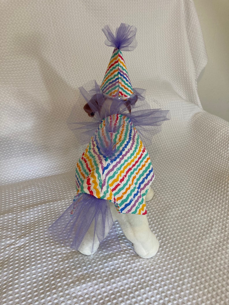 Clown Costume/dog Costume/dog Clown Costume/rainbow Clown Etsy