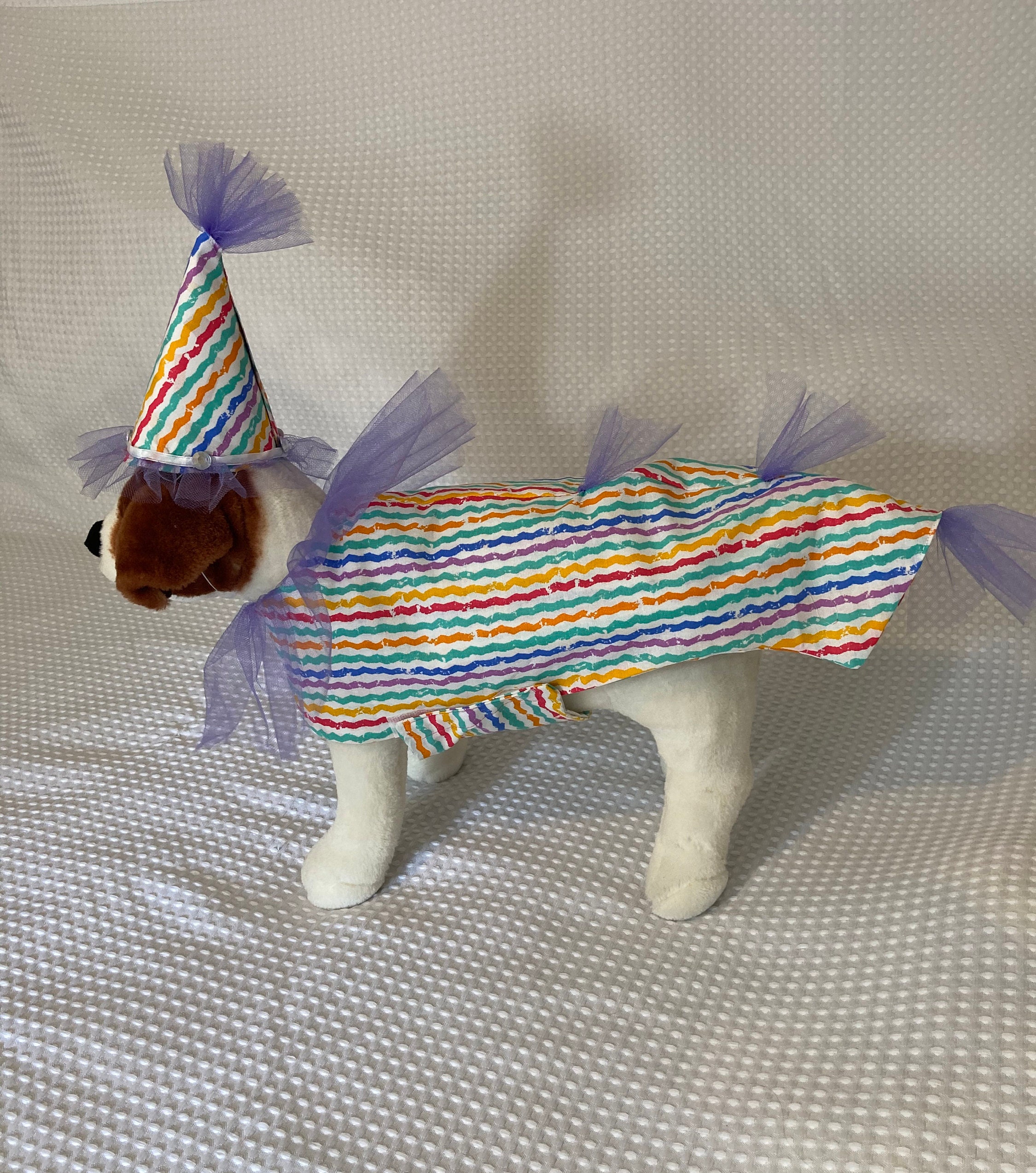 Clown costume/Dog costume/Dog clown costume/rainbow clown Etsy