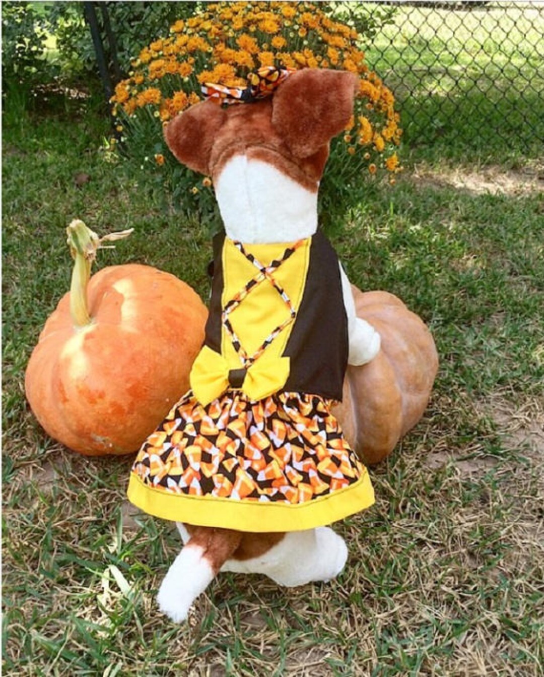 Dog Dirndl Costume Dog Halloween Costume Dog Costume Pet - Etsy