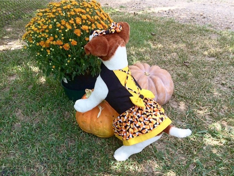 Dog Dirndl Costume Dog Halloween Costume Dog Costume Pet | Etsy