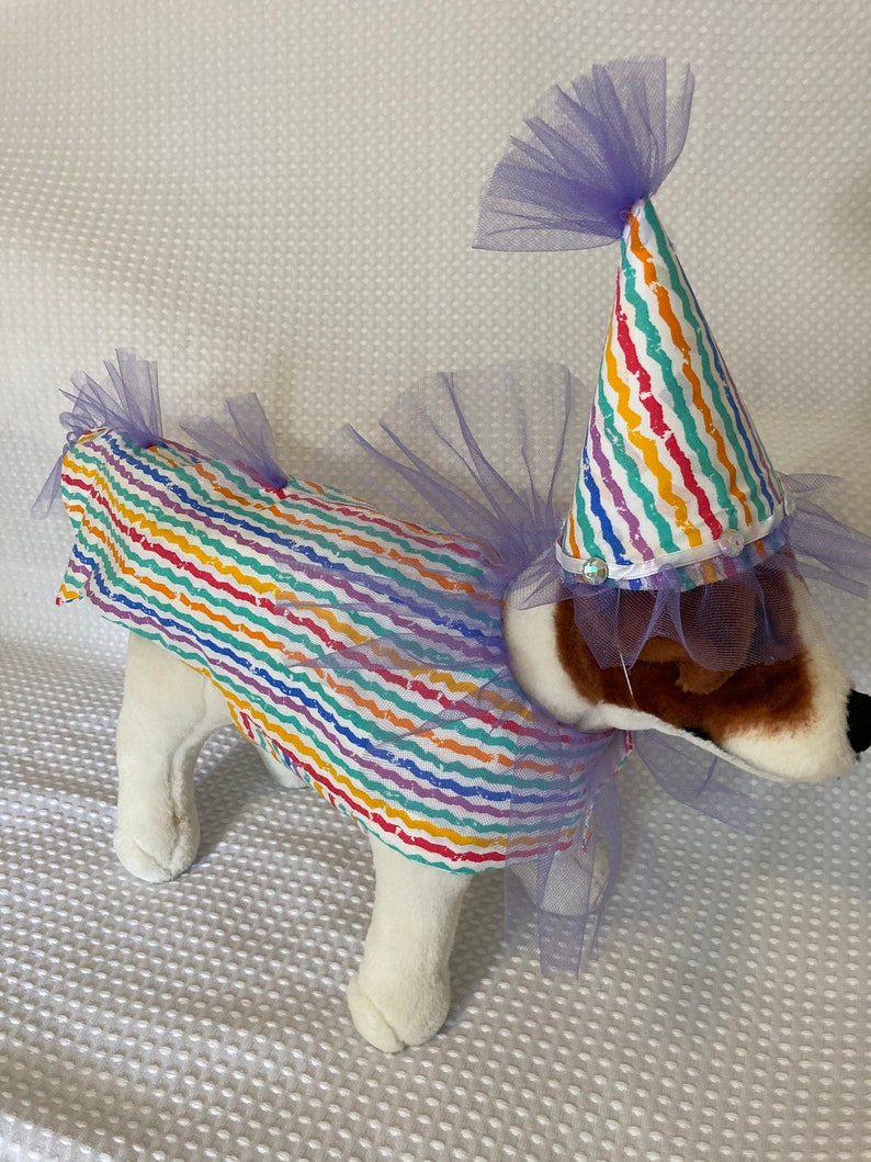 Clown Costume/dog Costume/dog Clown Costume/rainbow Clown Etsy