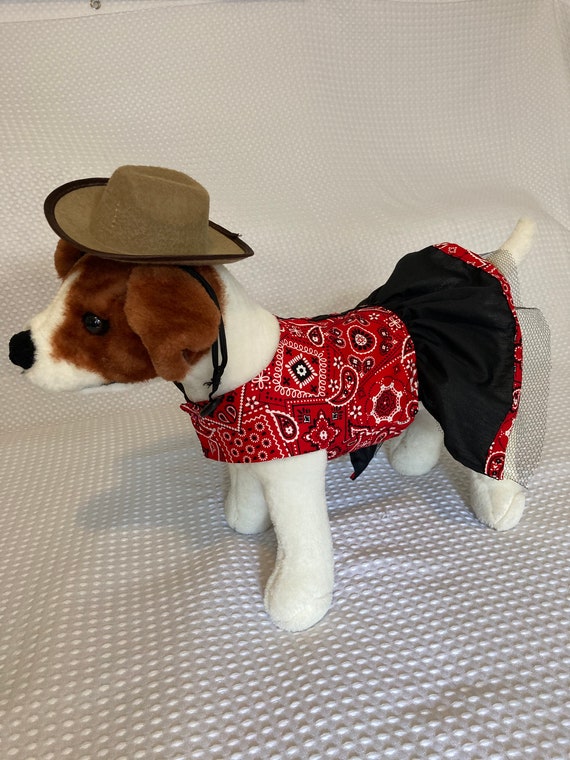 cowgirl dog costume