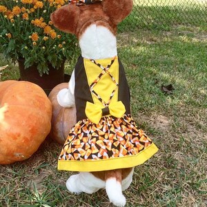 Dog Dirndl Costume Dog Halloween Costume Dog Costume Pet - Etsy