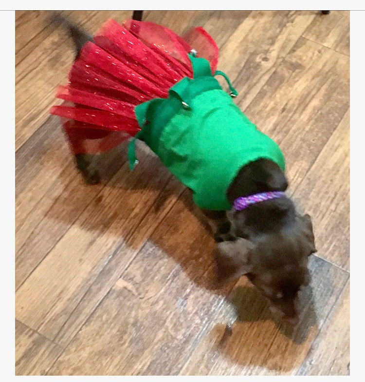 Christmas Dog Elf Costume Holiday Dog Costume Elf Dog Etsy