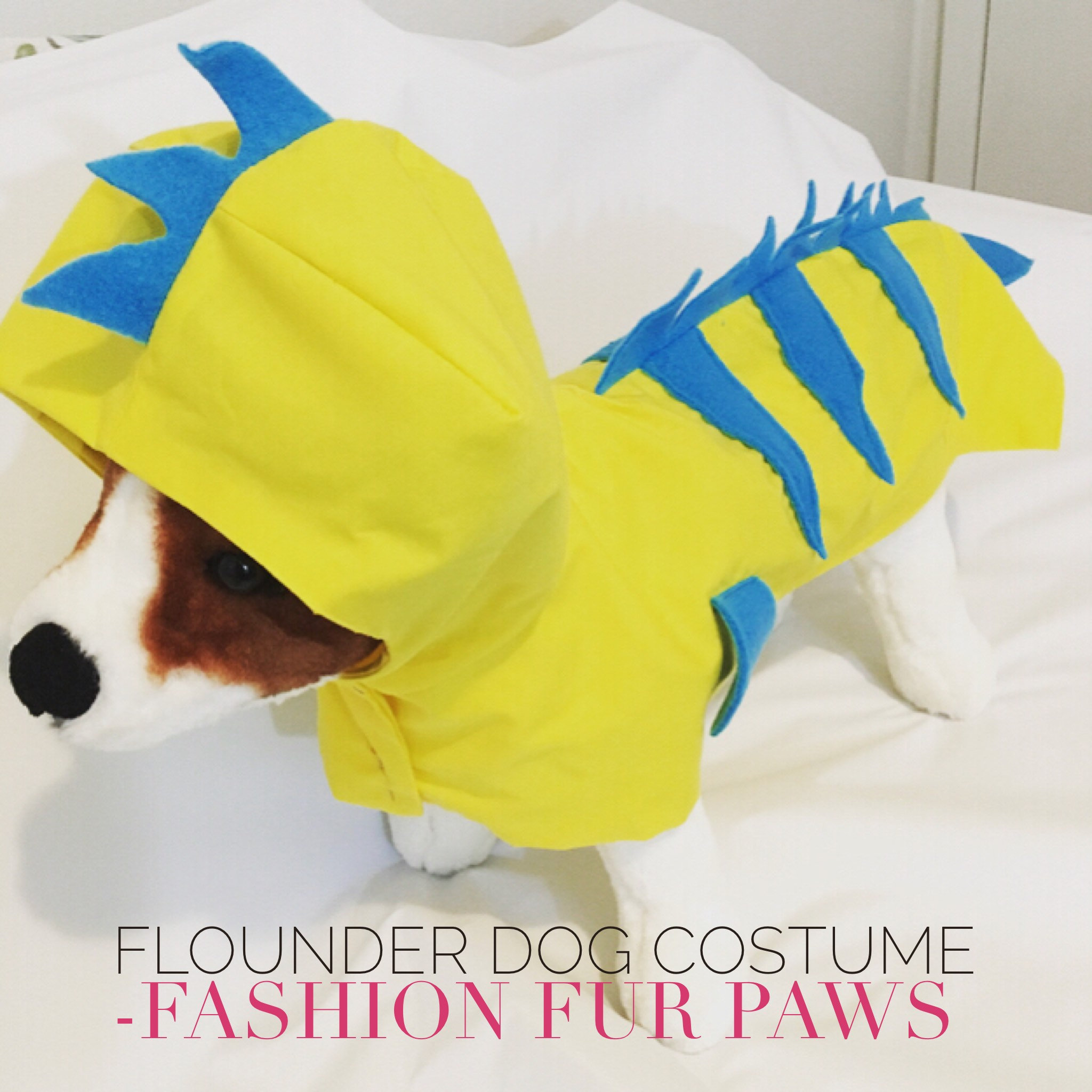 Flounder Fish Costume , Dog Costume, Halloween costume for dogs, Disney  Inspired Flounder Dog Costume, Little Mermaid Inspired Flound Costum