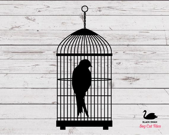 Svg Oiseaux En Cage 3 Dessins De Fichier Vectoriel Cricut Et Camée Silhouette Téléchargement De Fichier Zip Eps Png Jpg Dfx