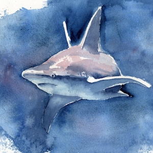 Pintura em aquarela de tubarão original 8x12 em moldura