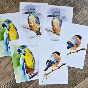 Cartões postais de pássaros em aquarela 4 x 6 pol. Conjunto de 6