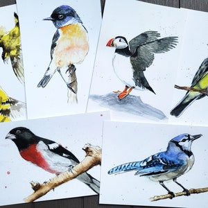 Jeu de 6 cartes de voeux aquarelle oiseaux 4 x 6 po avec enveloppes