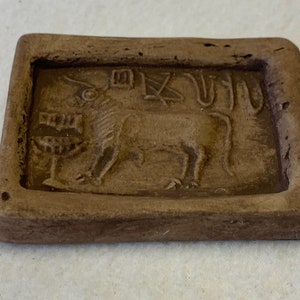 Nandi Bull Recreation