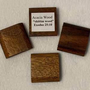 May include: Four pieces of acacia wood, including three curved pieces and one square piece. One square piece has a label that reads "Acacia Wood 'shittim wood' Exodus 25:10". The wood has a rich, dark brown color.
