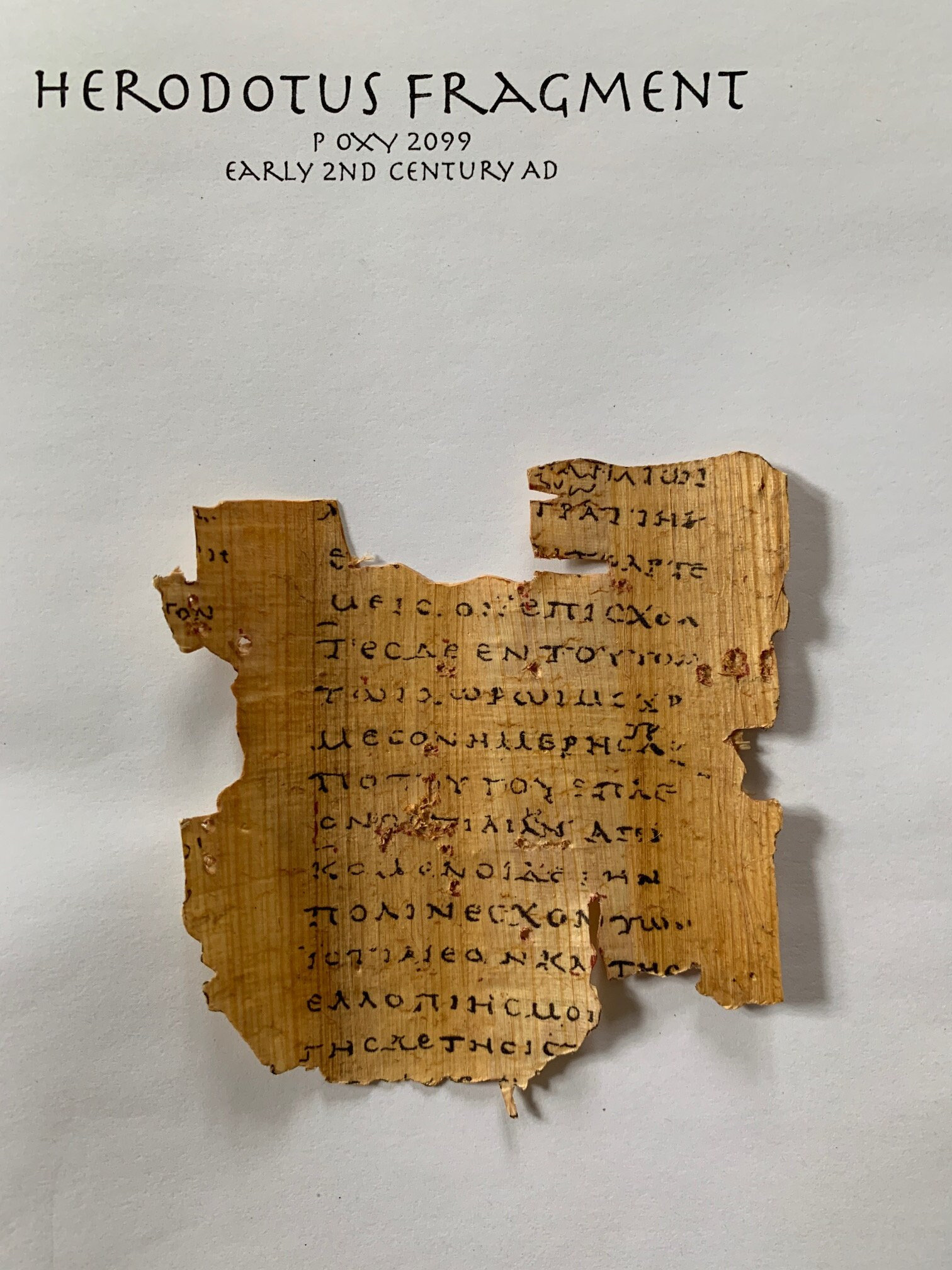 Herodotus Fragment Papyrus oxy 2099 Recreation - Etsy 日本