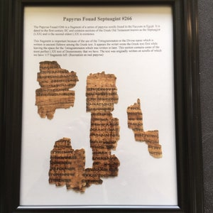 Papyrus Fouad 266 Recreation (3 Fragments)