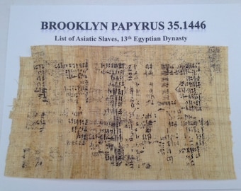 Brooklyn Papyrus 35.1446 Recreation