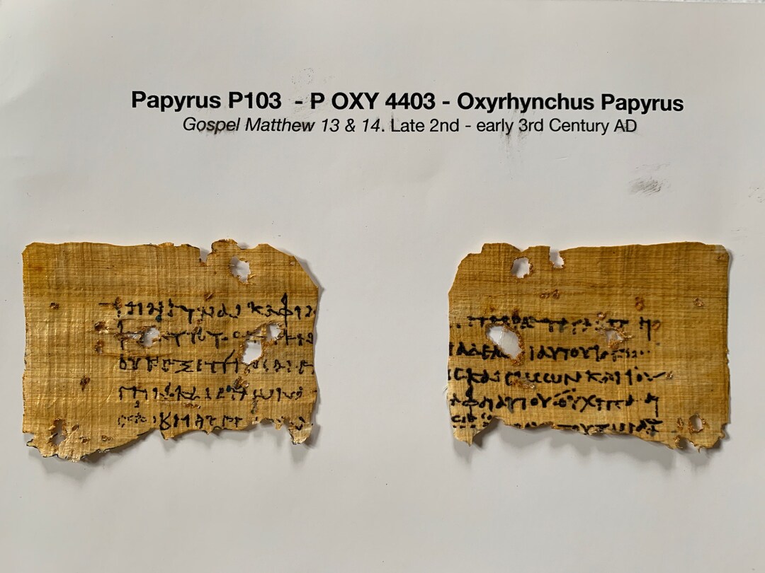 P103 Papyrus Recreation - Etsy