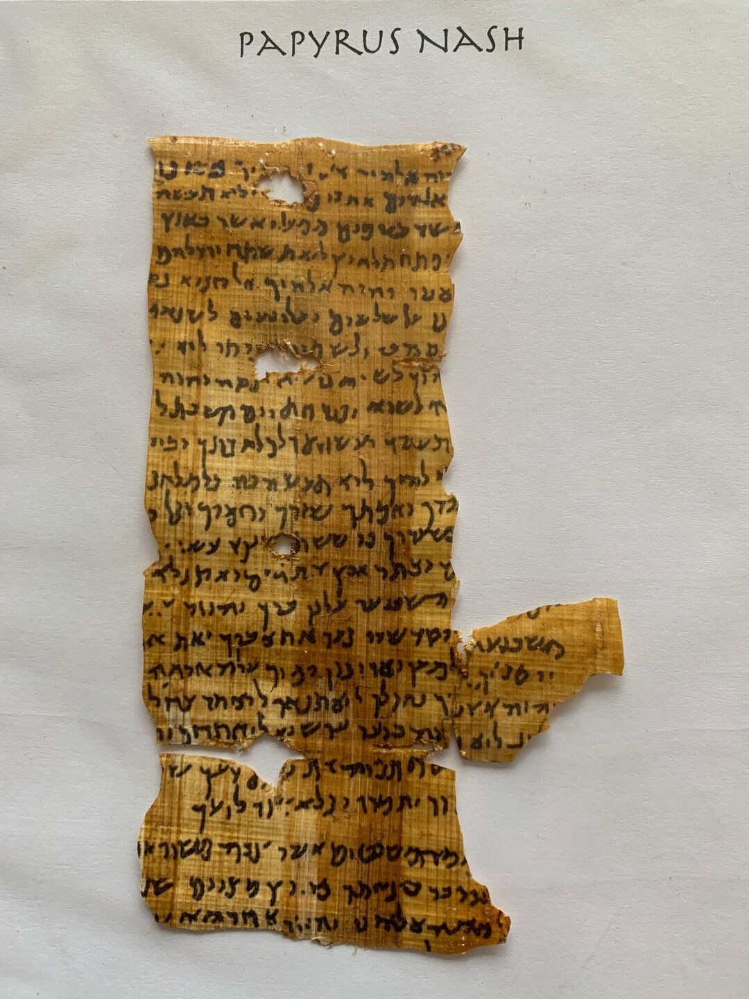 Nash Papyrus Recreation - Etsy