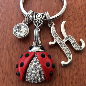 Lady Bug Gift, Ladybug Keychain, Ladybug Initial Gifts, Personalized Ladybug Gifts, Ladybug KeyRing, Ladybug Birthday Gifts For Her, Ladybug