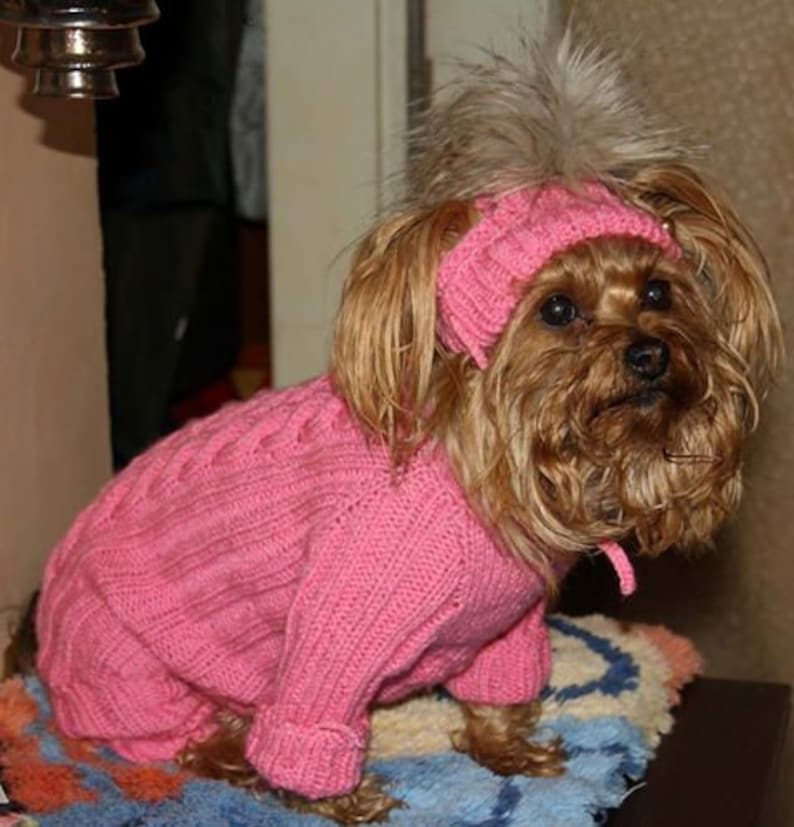 Dog Designer Clothes Cable Knitted Dog Sweater Dog Dresses Etsy