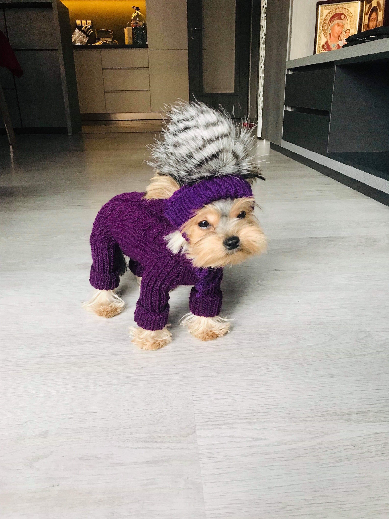 Dog Designer Clothes Cable Knitted Dog Sweater Dog Dresses Etsy