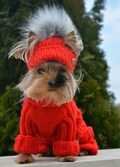 Dog Designer clothes, Cable Knitted Dog Sweater , Dog Dresses for small Dogs , Set hat Dog Designer clothes, , MADE TO ORDER product logo