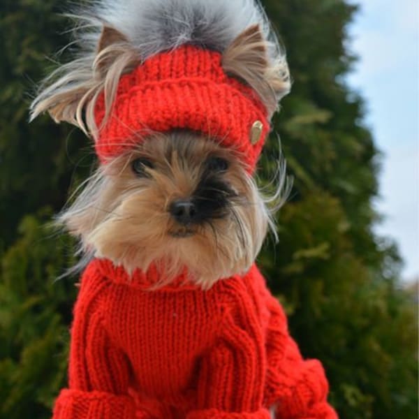 Dog Designer clothes, Cable Knitted Dog Sweater , Dog Dresses for small Dogs , Set hat Dog Designer clothes, , MADE TO ORDER