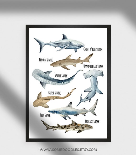 Sharks Wall Art printable digital files Ocean And Beach Room | Etsy