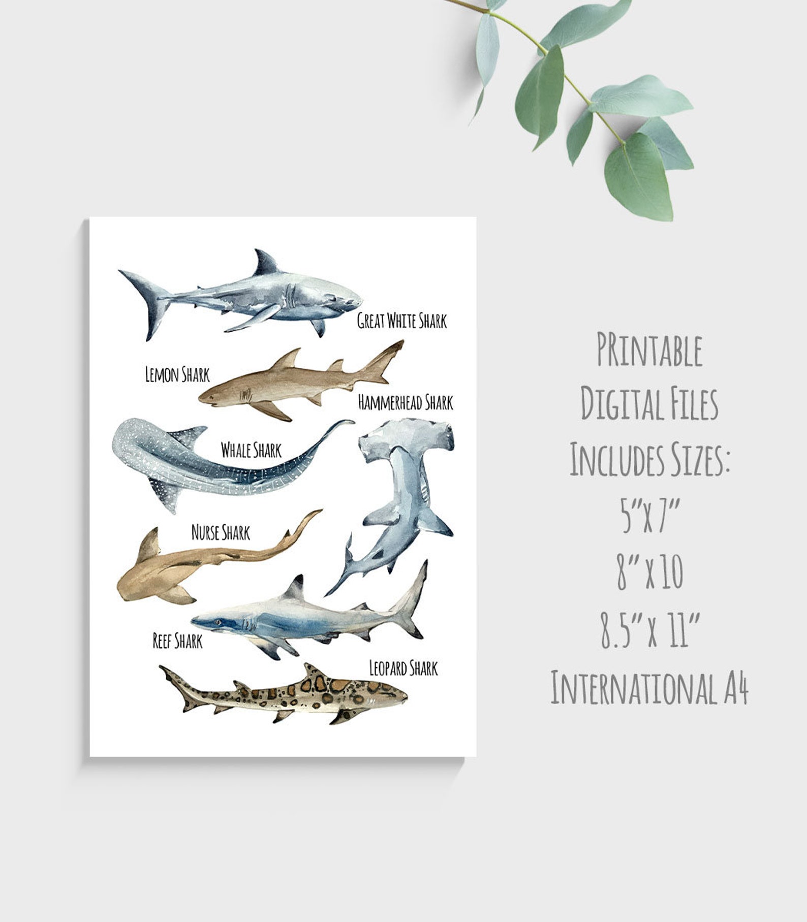 Sharks Wall Art Printable Digital Files Ocean and Beach Room - Etsy