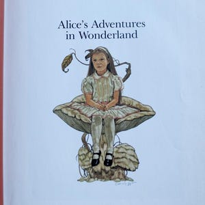 Alice in Wonderland 1985 - Etsy