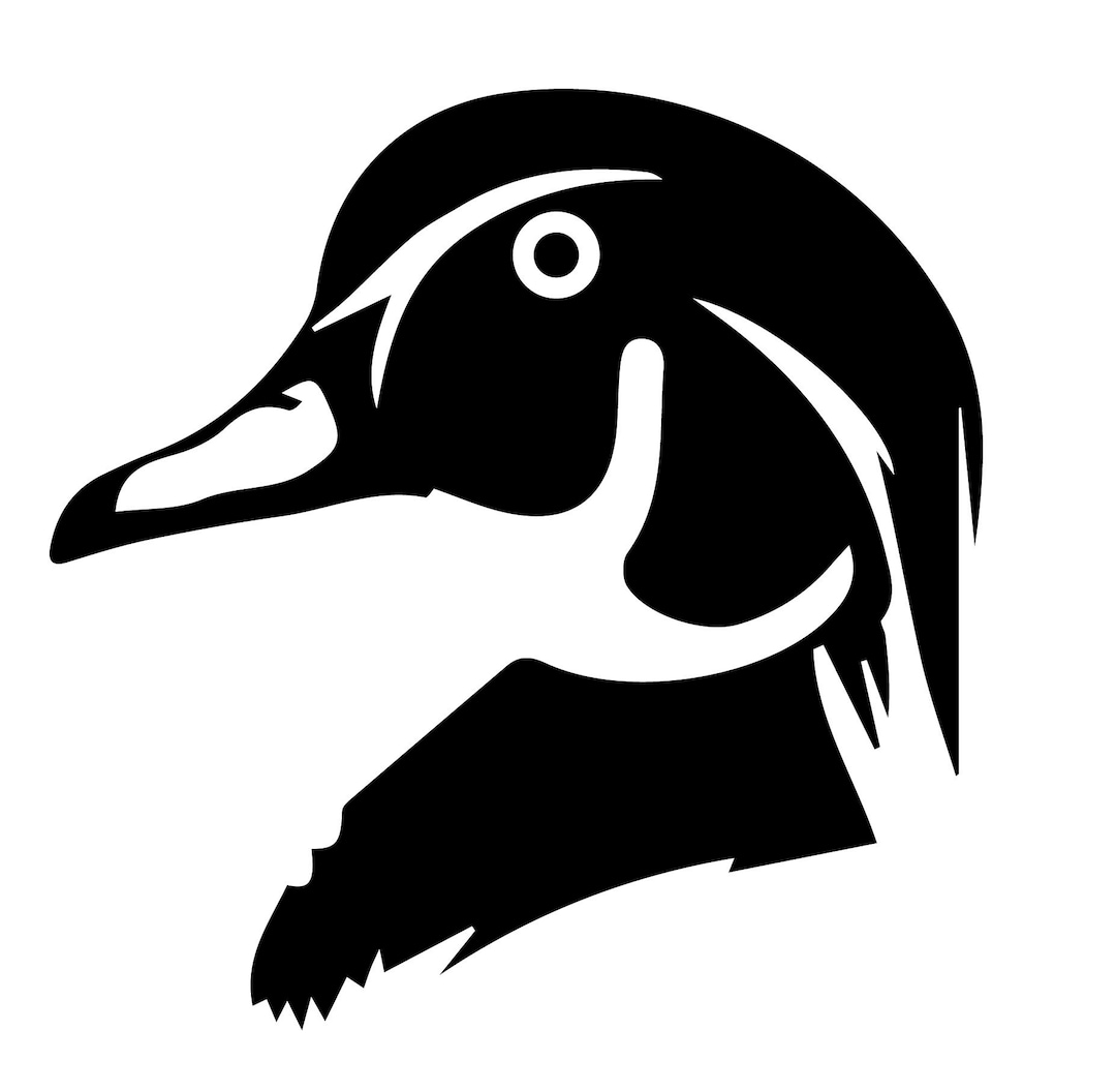 Wood Duck Decal Vinyl Decal Custom Decal Duck Hunting Etsy