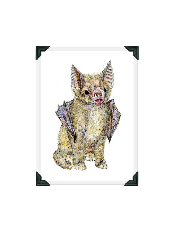 Chauve Souris Chat Mutant Chauve Souris Chat Chaton Art Etsy Chauve Souris Chat Mutant Chauve Souris Chat Chaton Art Etsy