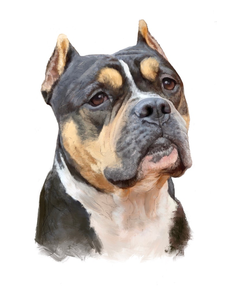 Pet Supplies Urns Memorials Dog Love Animal Welfare Animal Rescue Bougie Beast Indy Pittie Pit Bull Animal Love Pet Portrait Digital File Pit Bull Rescue Pet Supplies Urns Memorials Dog Love Animal Welfare Animal Rescue Bougie Beast Indy Pittie Pit Bull Animal Love Pet Portrait Digital File Pit Bull Rescue
