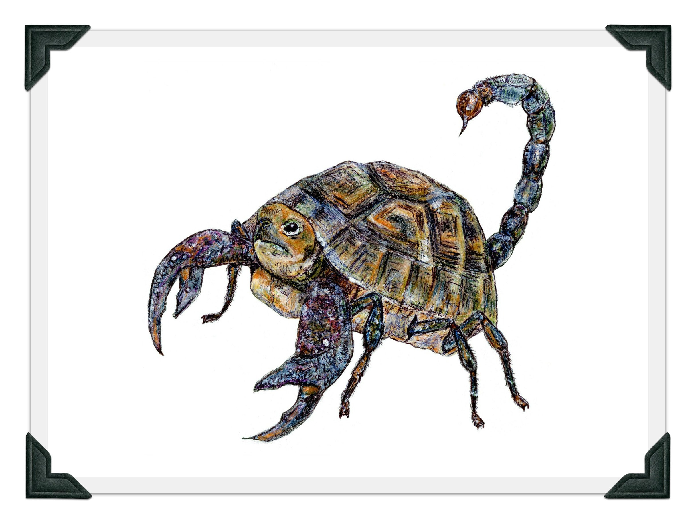 ★Original ART ‘Turtle’ Scortoise- Mutant, Fantasy Art, Animal Art, Mythical