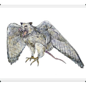 Polcon - mutant, fantasy art, dierlijke kunst, mythisch wezen, koeskoes, falcon, vogel, hybride dier, mythische beest, dier art print, cryptid