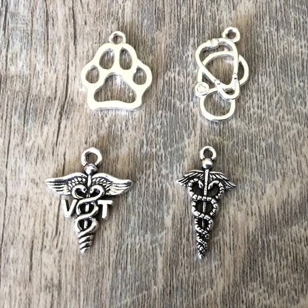 Veterinary Charms, Vet Tech Charms, Silvertone, For Bracelet, Necklace, Earrings, Zipper Pull, Key Chain, #21