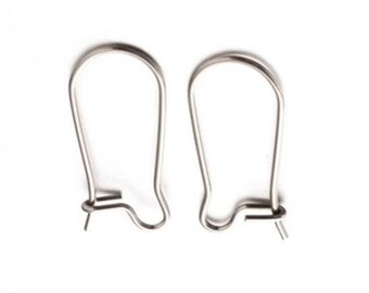 Stainless Steel Kidney Ear Wires, 20mm, DIY Earring Hooks, 1 Pair, DIY-8