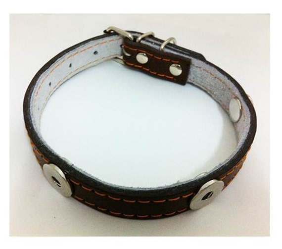 dog collar snaps