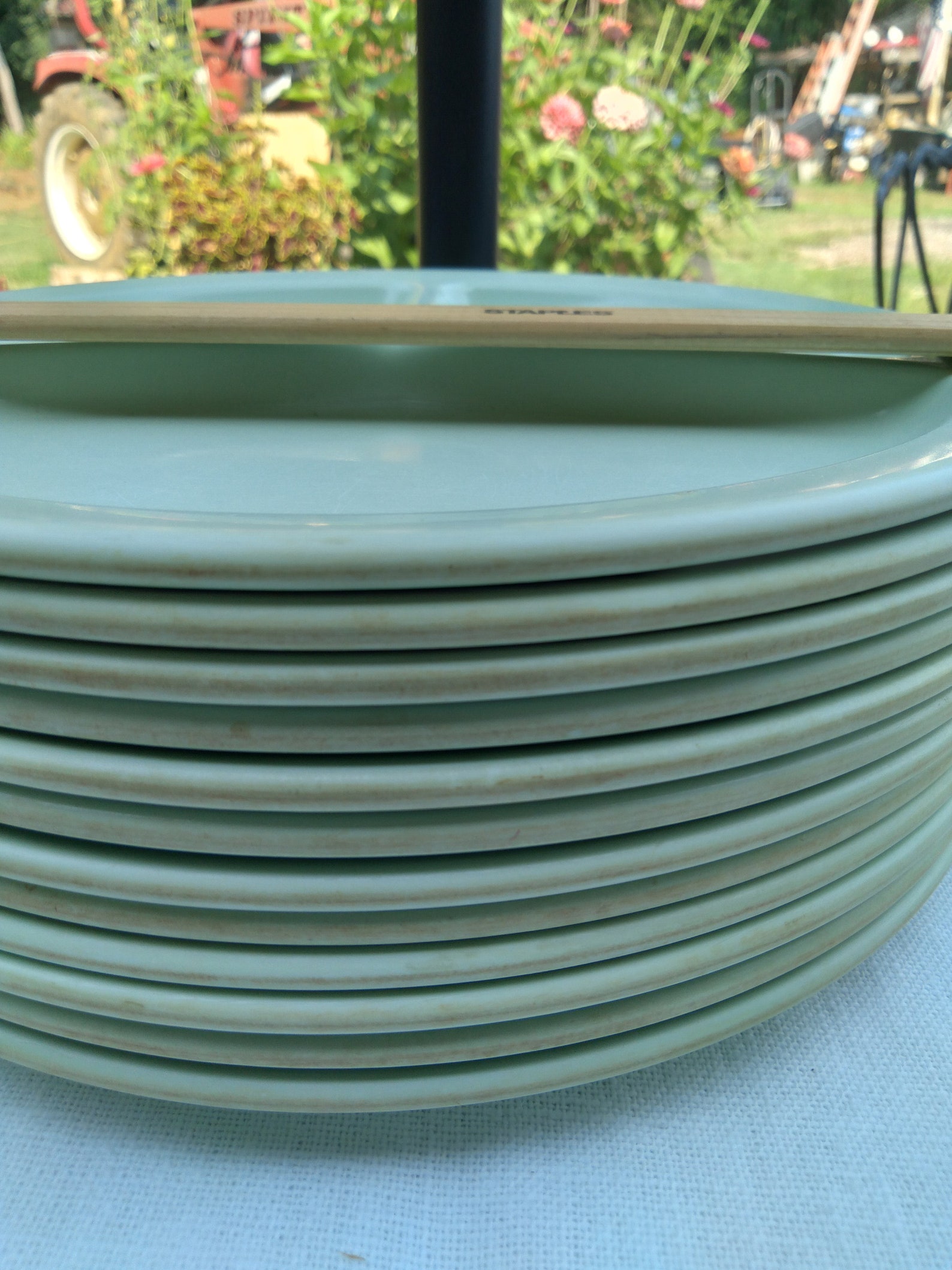 Texas Ware Divided Picnic Plates/set of Etsy