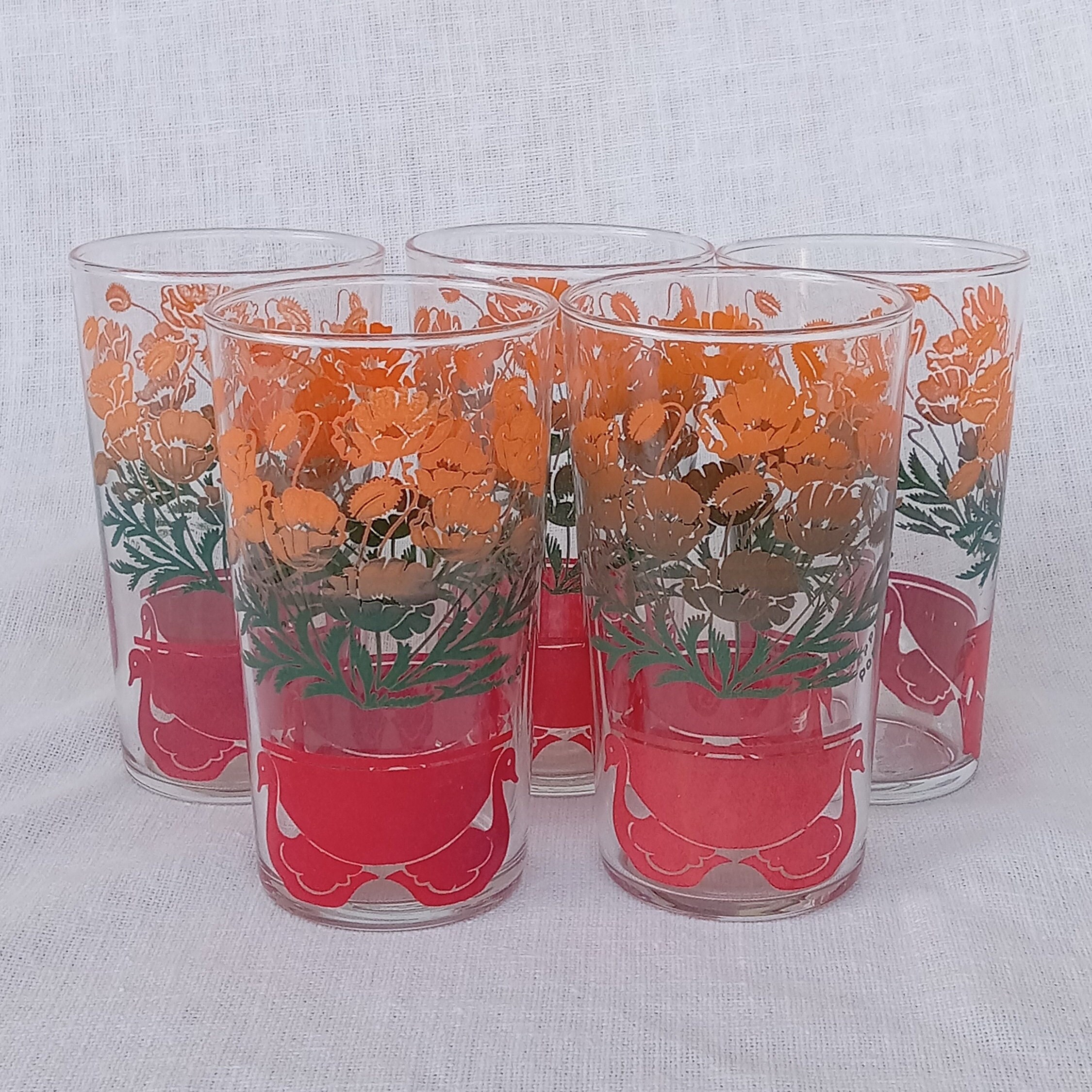 SET OF 6 Tall Drinking Glasses w/Poppy Floral Art Made in Russia, 8 fl oz  each