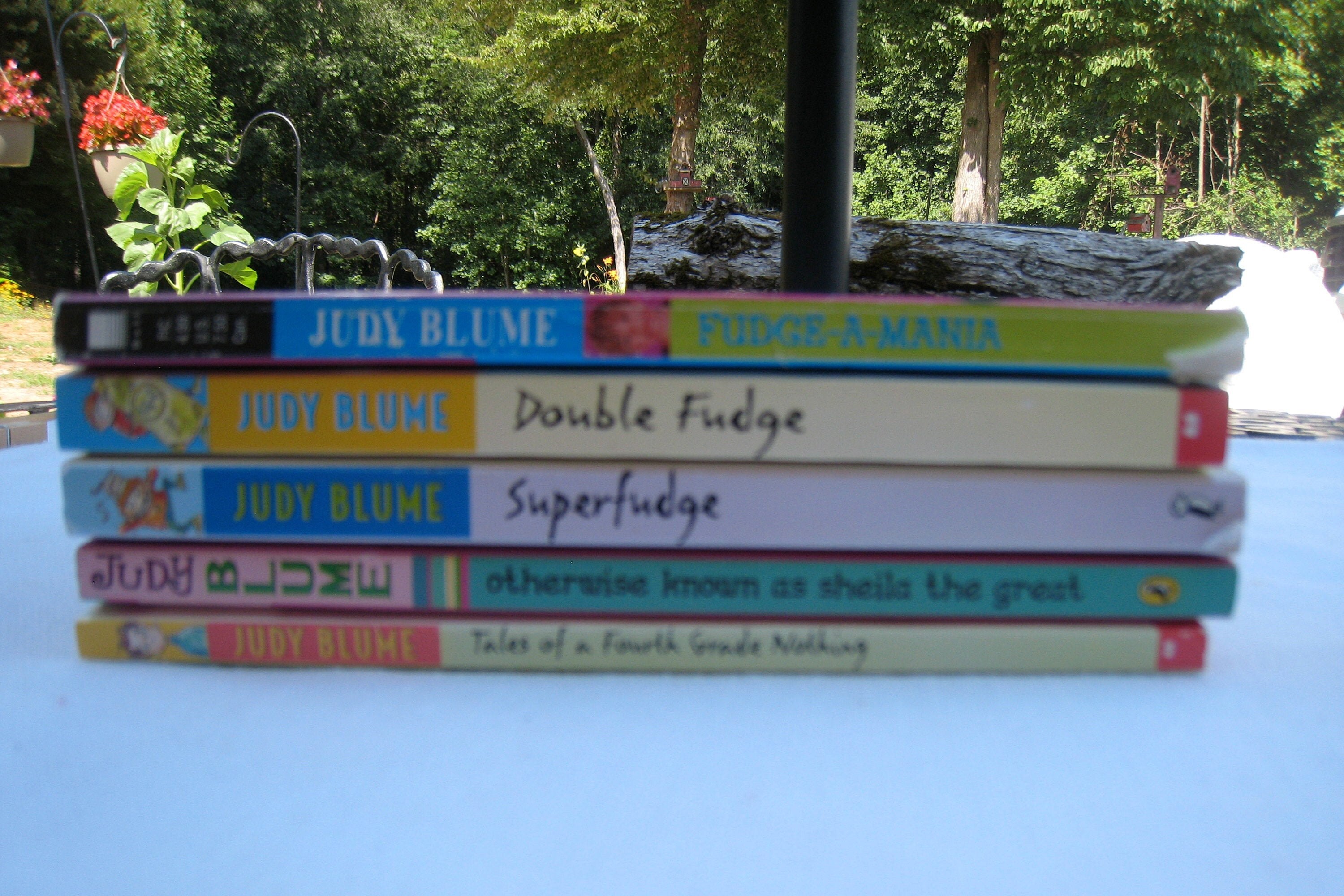 Judy Set of Fudge Books/five Paperback Etsy UK