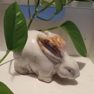 May include: A white ceramic bunny figurine with brown and tan accents on the ears. The bunny is positioned on a white surface, with green leaves and stems from a plant in the background.