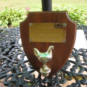 Chicken Trophy/ Farmhouse Décor, 1981/Gold Tone Chicken on Wood